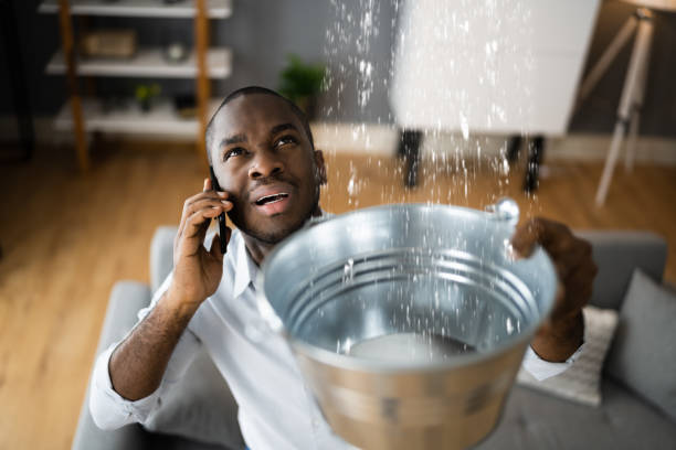 Best Ceiling water damage repair  in Hot Springs Village, AR