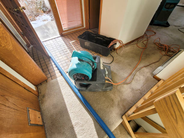 Best Basement water damage restoration  in Hot Springs Village, AR