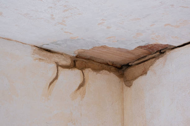 Best Basement water damage restoration  in Hot Springs Village, AR