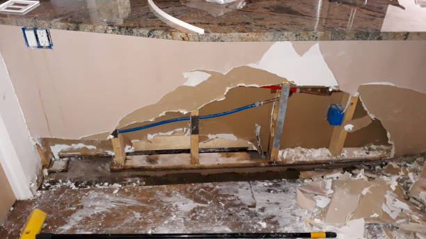 Best Carpet water damage restoration  in Hot Springs Village, AR