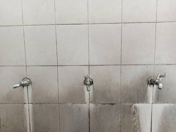 Best Water damage restoration near me  in Hot Springs Village, AR