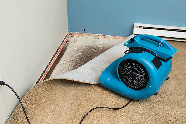 Best Water damage cleanup near me  in Hot Springs Village, AR